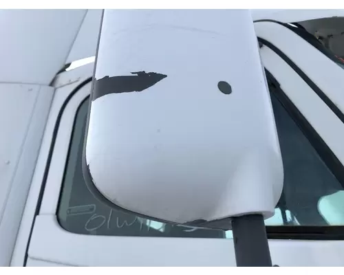 FREIGHTLINER CENTURY CLASS 120 Door Mirror