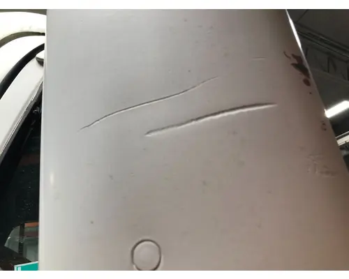 FREIGHTLINER CENTURY CLASS 120 Door Mirror
