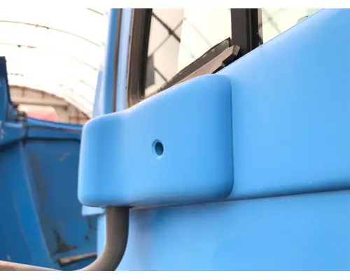 FREIGHTLINER CENTURY CLASS 120 Door Mirror