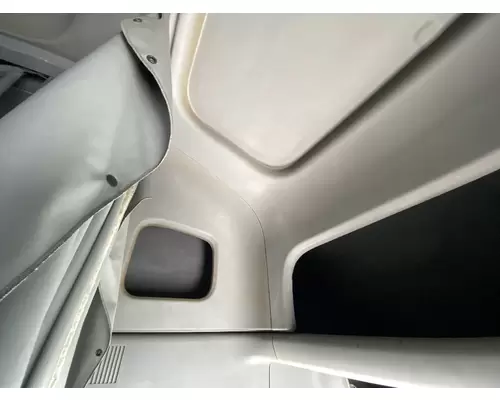 FREIGHTLINER CENTURY CLASS 120 Headliner