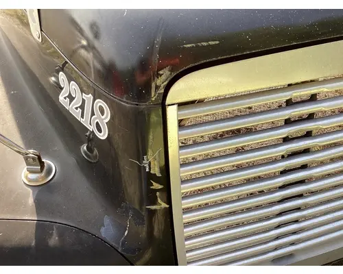 FREIGHTLINER CENTURY CLASS 120 Hood