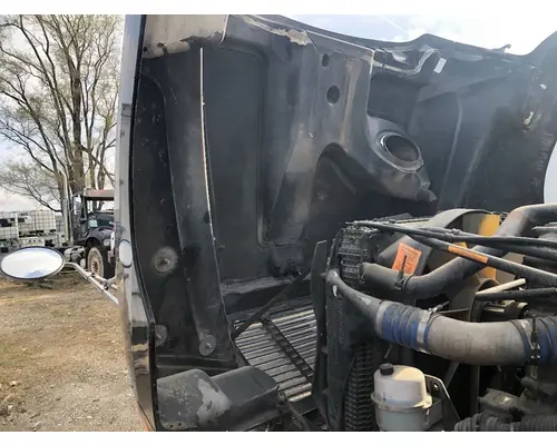 FREIGHTLINER CENTURY CLASS 120 Hood