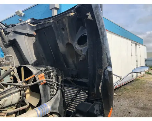 FREIGHTLINER CENTURY CLASS 120 Hood