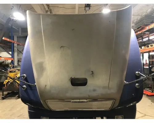 FREIGHTLINER CENTURY CLASS 120 Hood