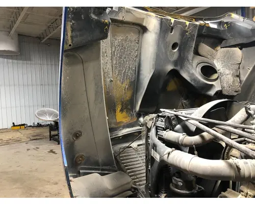 FREIGHTLINER CENTURY CLASS 120 Hood