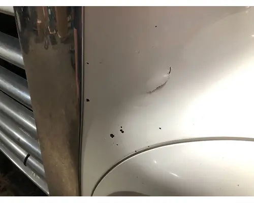 FREIGHTLINER CENTURY CLASS 120 Hood