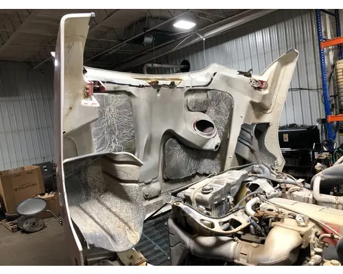 FREIGHTLINER CENTURY CLASS 120 Hood