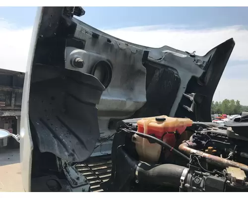 FREIGHTLINER CENTURY CLASS 120 Hood