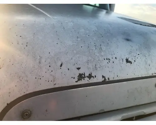 FREIGHTLINER CENTURY CLASS 120 Hood