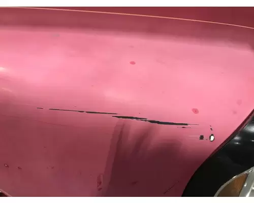 FREIGHTLINER CENTURY CLASS 120 Hood