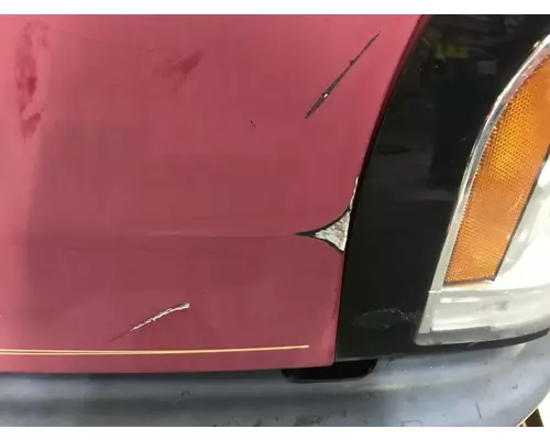 FREIGHTLINER CENTURY CLASS 120 Hood