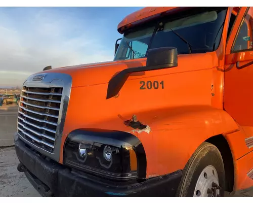 FREIGHTLINER CENTURY CLASS 120 Hood