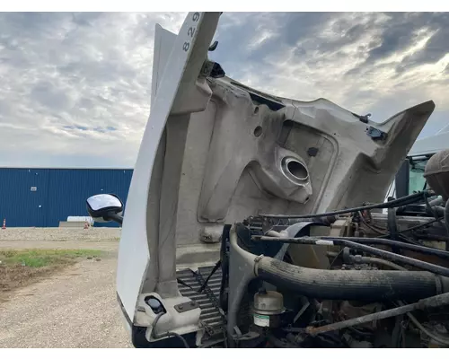 FREIGHTLINER CENTURY CLASS 120 Hood