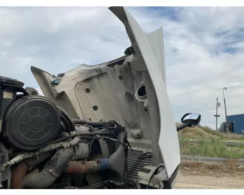 FREIGHTLINER CENTURY CLASS 120 Hood