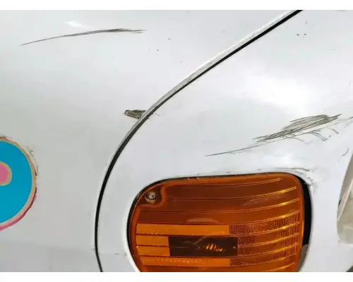 FREIGHTLINER CENTURY CLASS 120 Hood