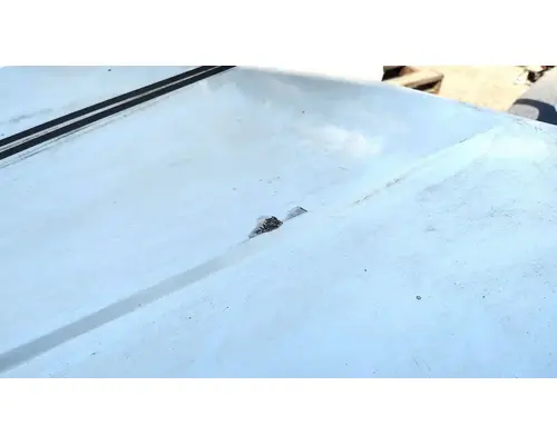 FREIGHTLINER CENTURY CLASS 120 Hood