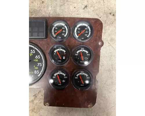 FREIGHTLINER CENTURY CLASS 120 Speedometer Head Cluster