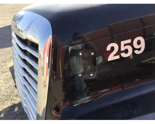 FREIGHTLINER CENTURY HOOD