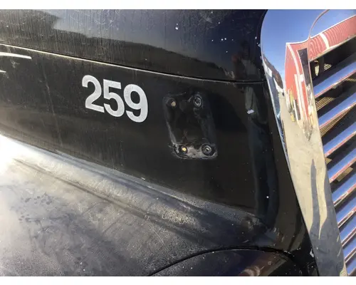 FREIGHTLINER CENTURY HOOD