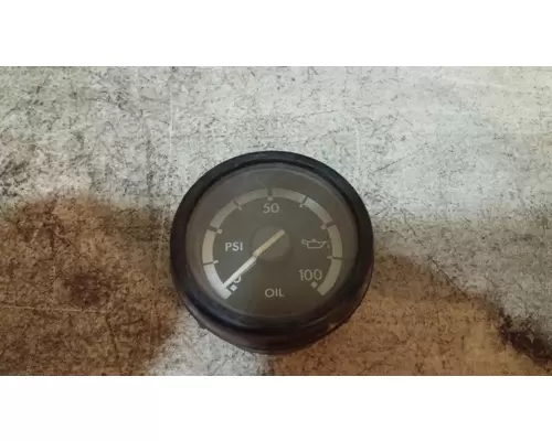 FREIGHTLINER CENTURY Instrument Cluster