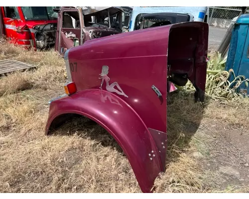 FREIGHTLINER CLASSIC 120 Hood