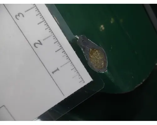 FREIGHTLINER COLUMBIA 112  HOOD