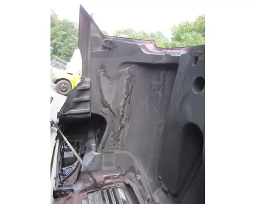 FREIGHTLINER COLUMBIA 120 2001-2015 HOOD