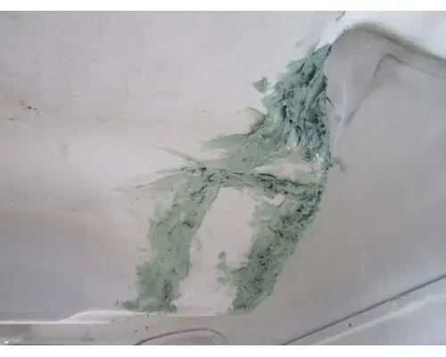 FREIGHTLINER COLUMBIA 120 2001-2015 HOOD