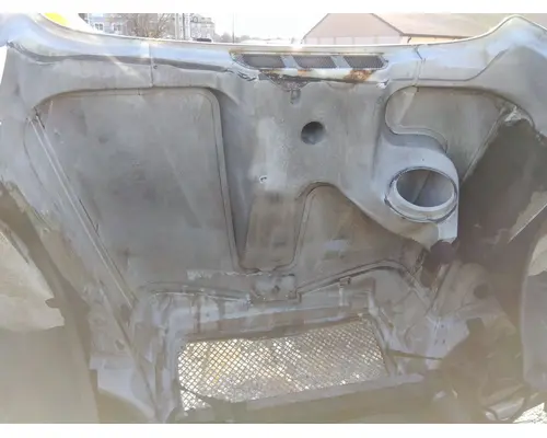 FREIGHTLINER COLUMBIA 120 2001-2015 HOOD