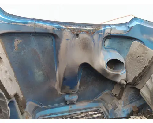 FREIGHTLINER COLUMBIA 120 HOOD