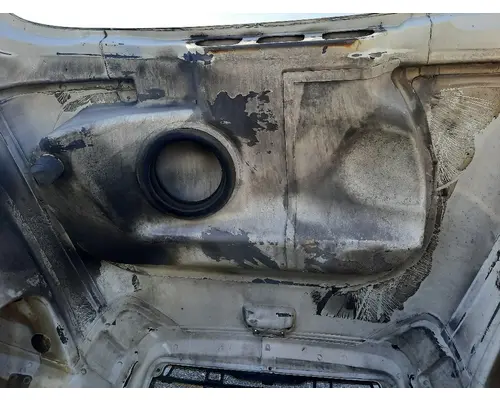 FREIGHTLINER COLUMBIA 120 HOOD