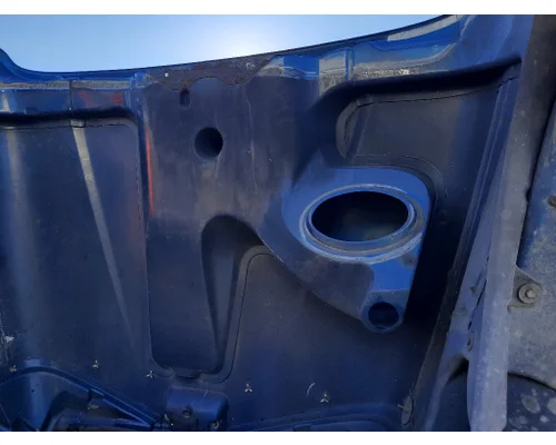 FREIGHTLINER COLUMBIA 120 HOOD