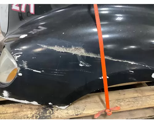 FREIGHTLINER COLUMBIA 120 Hood