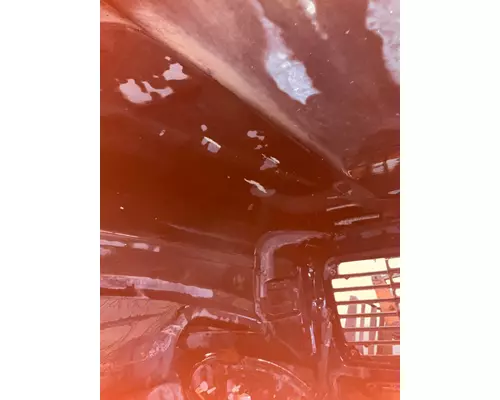 FREIGHTLINER COLUMBIA 120 Hood