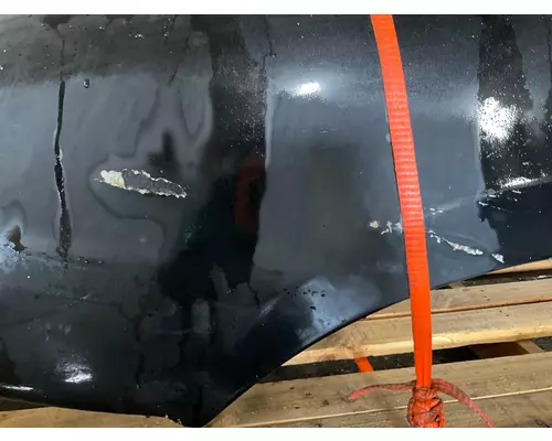 FREIGHTLINER COLUMBIA 120 Hood