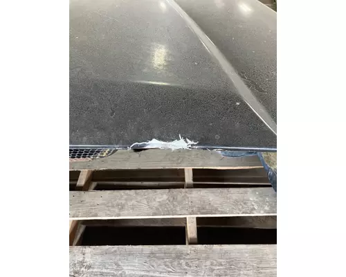 FREIGHTLINER COLUMBIA 120 Hood