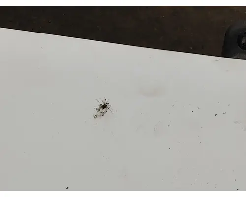 FREIGHTLINER COLUMBIA 120 Sun Visor (External)