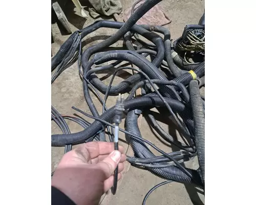 FREIGHTLINER COLUMBIA Body Wiring Harness
