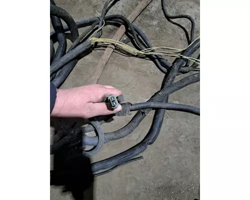 FREIGHTLINER COLUMBIA Body Wiring Harness