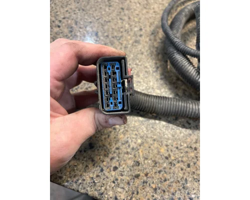 FREIGHTLINER COLUMBIA Body Wiring Harness
