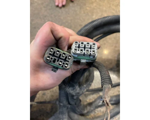 FREIGHTLINER COLUMBIA Body Wiring Harness