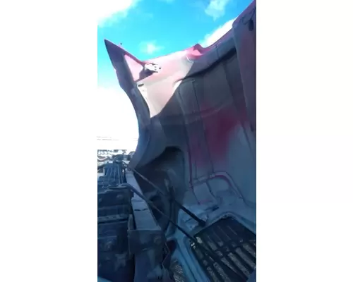 FREIGHTLINER COLUMBIA Hood