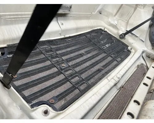 FREIGHTLINER COLUMBIA Hood