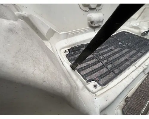 FREIGHTLINER COLUMBIA Hood
