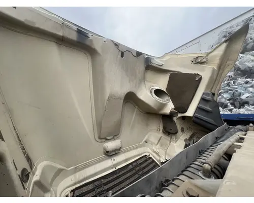 FREIGHTLINER COLUMBIA Hood