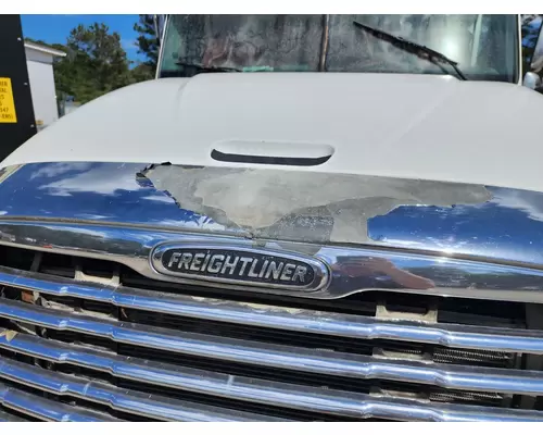 FREIGHTLINER COLUMBIA Hood