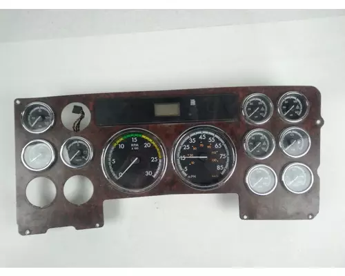 FREIGHTLINER COLUMBIA Instrument Cluster