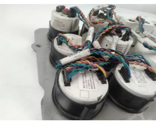 FREIGHTLINER COLUMBIA Instrument Cluster