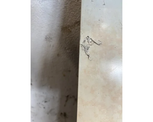 FREIGHTLINER CST 120 Fender Extension