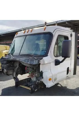 FREIGHTLINER Cascadia 113 Cab Assembly